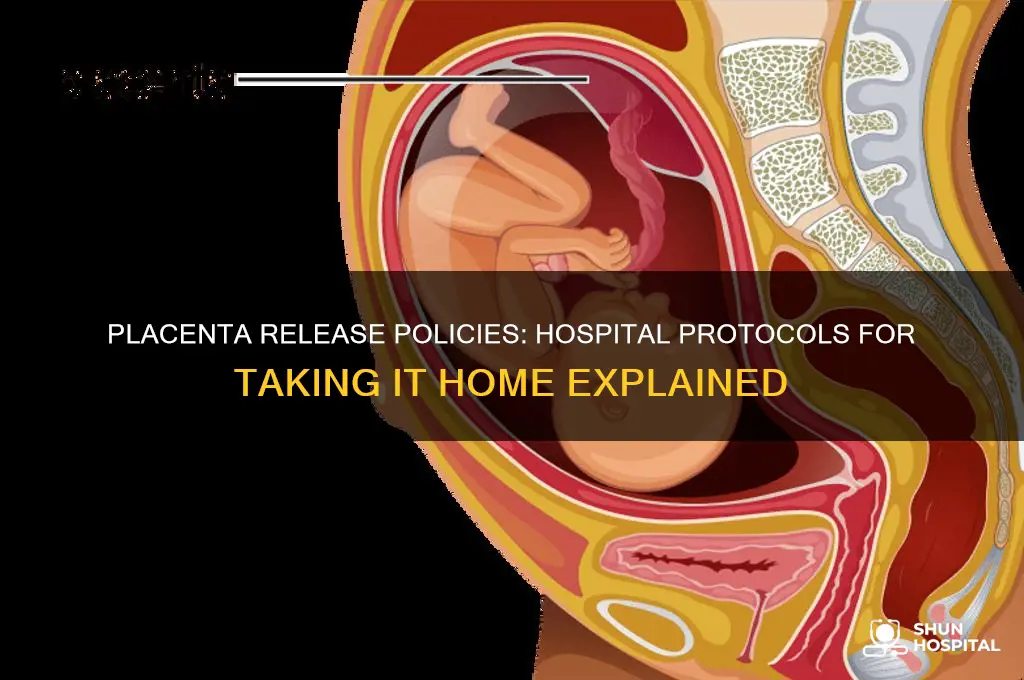 do hospitals have different protocols for taking placenta home