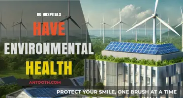 Hospitals and Environmental Health: Sustainable Practices for a Greener Future