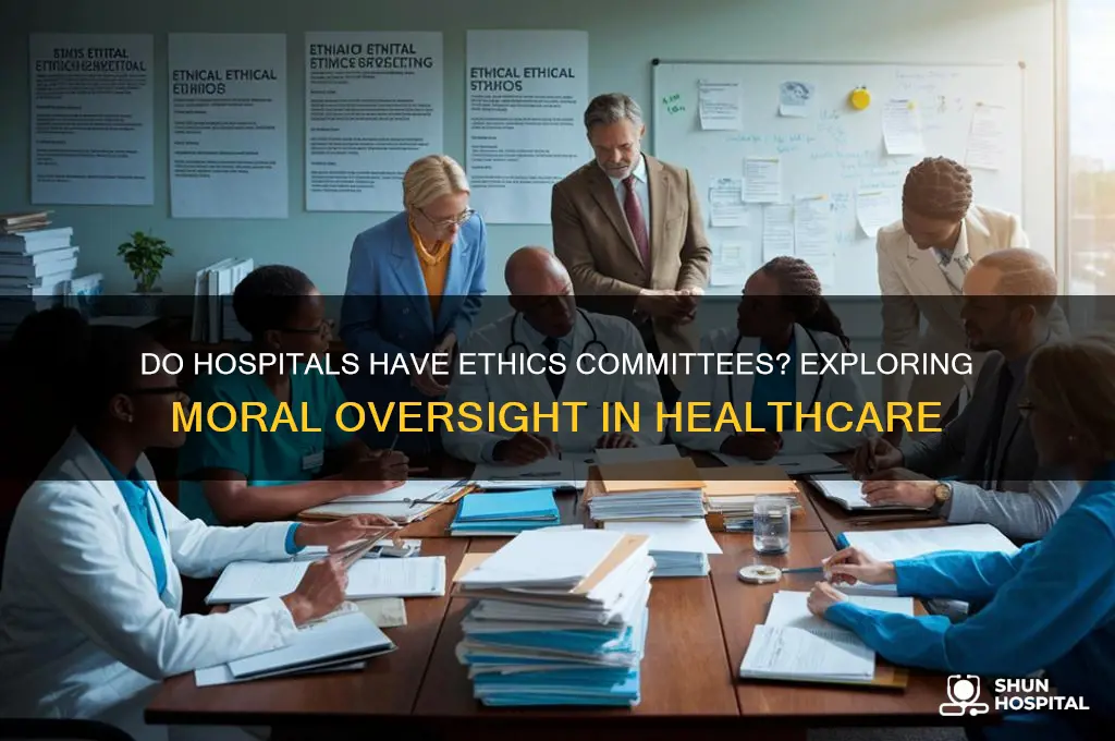 do hospitals have ethics committees
