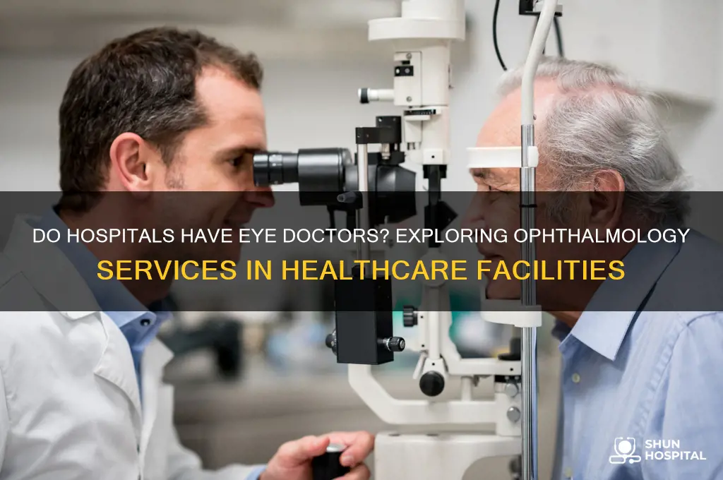 do hospitals have eye doctors