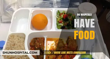 Hospital Meals Explained: What Food Options Are Available for Patients?