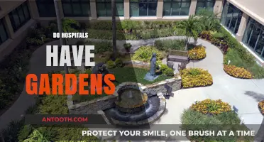 Healing Havens: Exploring the Presence of Gardens in Hospitals