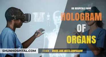 Exploring the Future of Healthcare: Holographic Organs in Hospitals