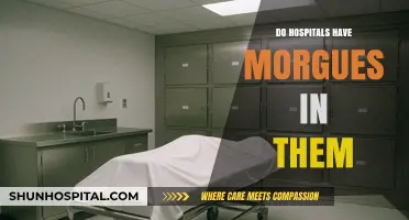Exploring the Presence of Morgues Within Hospital Facilities