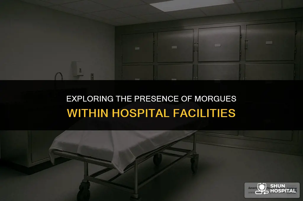 do hospitals have morgues in them