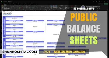 Exploring Financial Transparency: Do Hospitals Publish Public Balance Sheets?