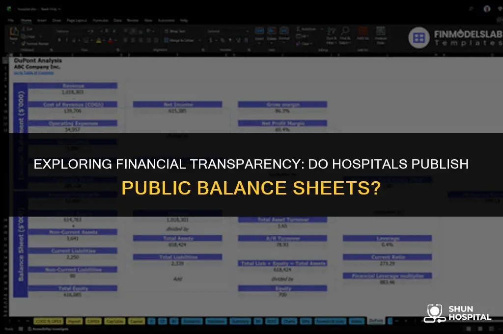 do hospitals have public balance sheets