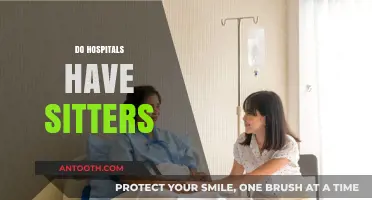Do Hospitals Provide Patient Sitters? Exploring Availability and Benefits