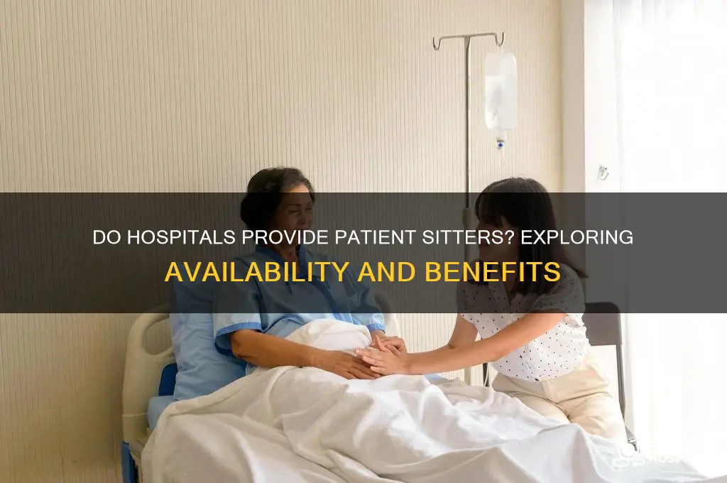 do hospitals have sitters