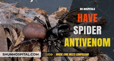 Do Hospitals Stock Spider Antivenom? Exploring Availability and Treatment Options