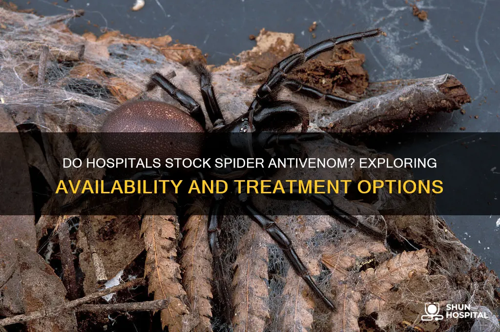 do hospitals have spider antivenom