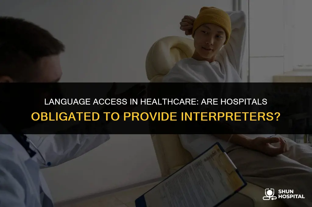 do hospitals have to provide interpreters