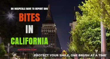 California Dog Bite Reporting: Hospital Obligations and Legal Requirements