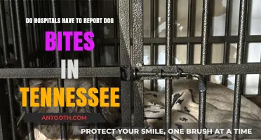 Tennessee Dog Bite Reporting: Hospital Obligations Explained