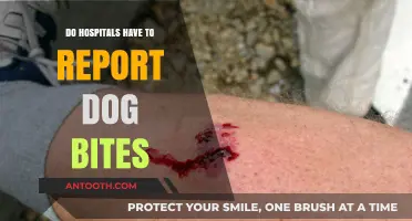Hospitals and Dog Bites: Reporting Requirements
