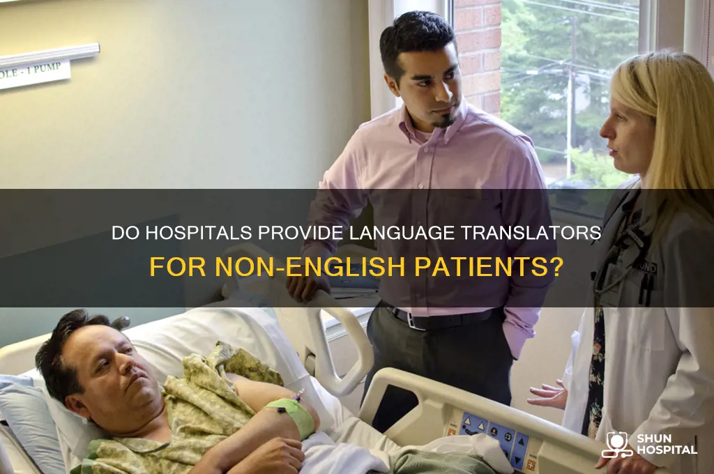 do hospitals have translators