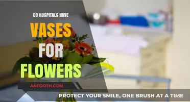 Blooming Compassion: The Healing Touch of Flowers in Hospitals