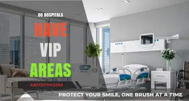 Exclusive Care: Exploring VIP Areas in Modern Hospitals