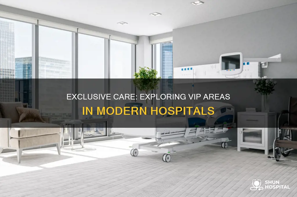 do hospitals have vip areas