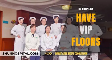 VIP Floors in Hospitals: Exclusive Care or Ethical Dilemma?