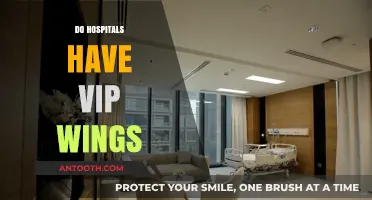 Exploring Exclusive Healthcare: Do Hospitals Offer VIP Wings?