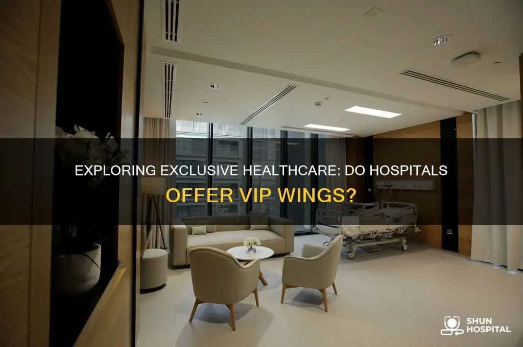 do hospitals have vip wings