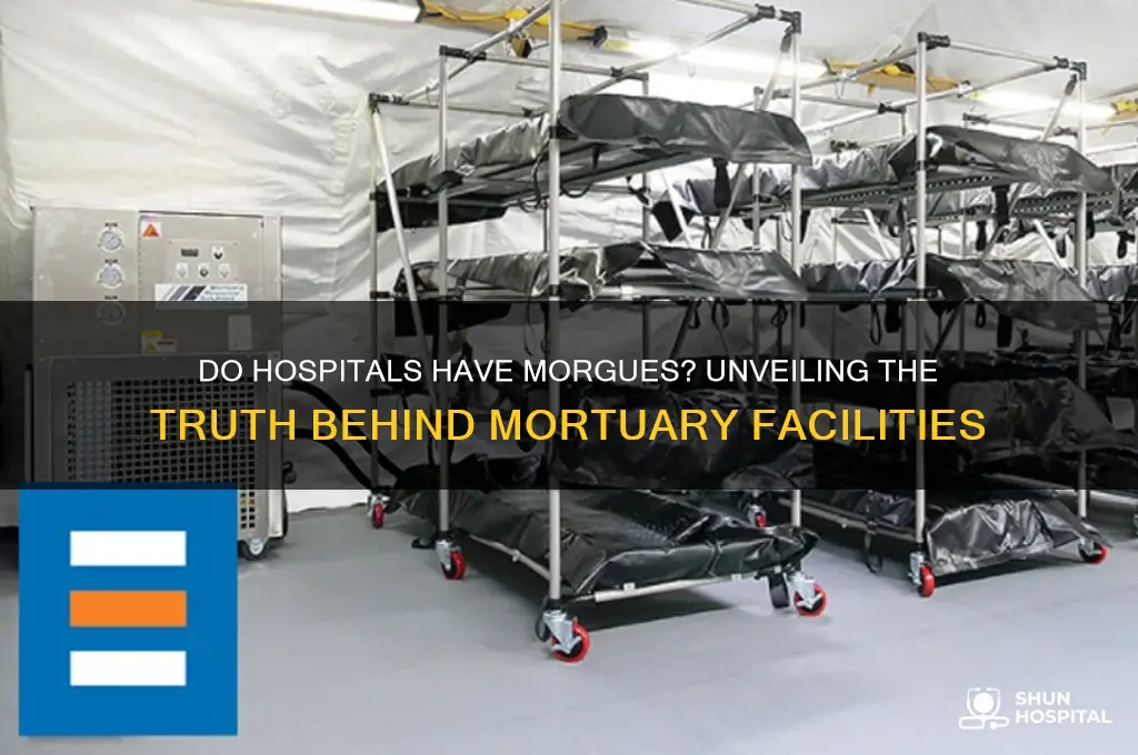 do hospitals havemorgues
