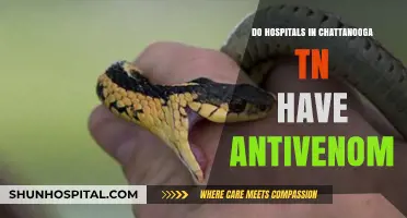 Chattanooga Hospitals: Antivenom Treatment Options