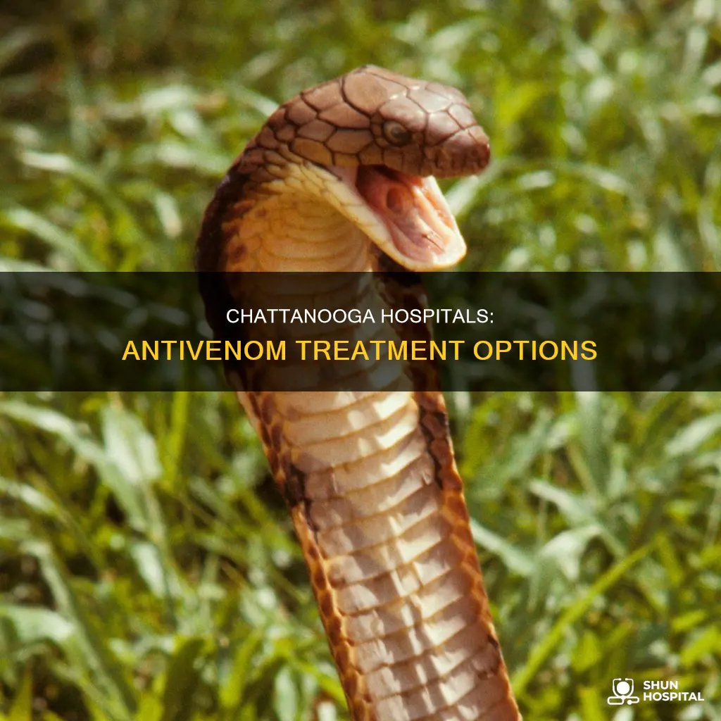 do hospitals in chattanooga tn have antivenom