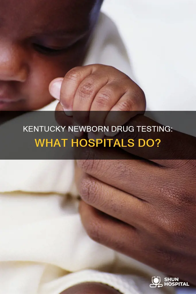 do hospitals in kentucky drug test newborns