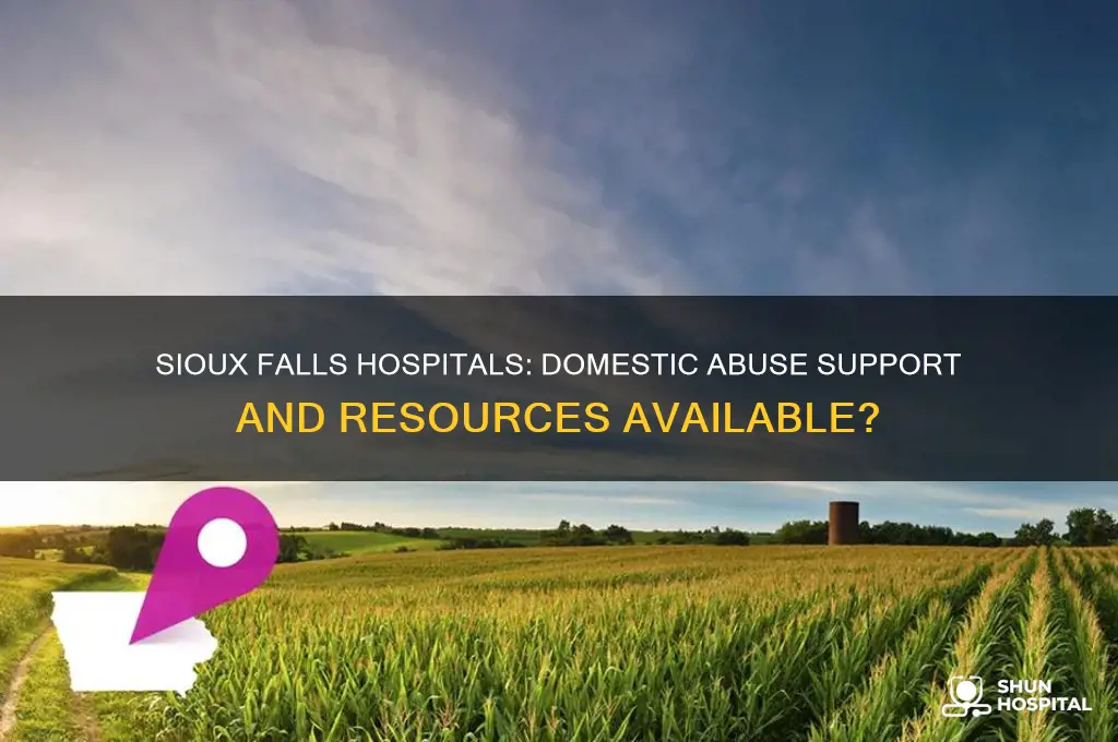 do hospitals in sioux falls offer domestic abuse help