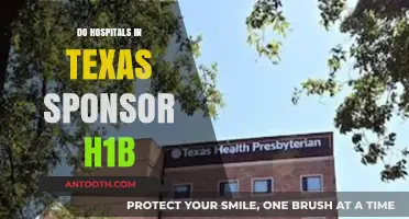 Exploring H-1B Sponsorship by Texas Hospitals: Facts and Insights