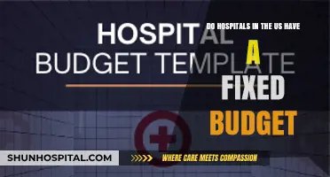 Do US Hospitals Operate on a Fixed Budget? Exploring Financial Structures