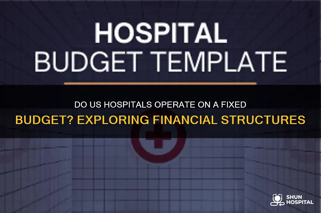 do hospitals in the us have a fixed budget