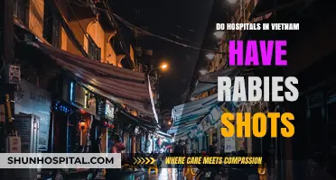 Rabies Shots in Vietnam: Hospital Availability