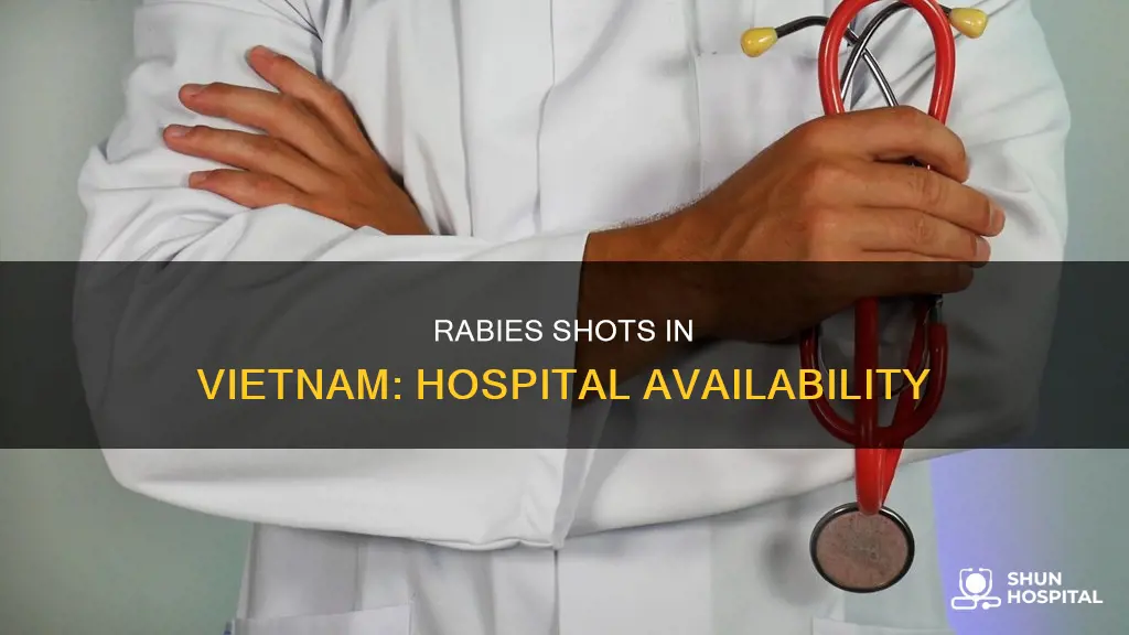 do hospitals in vietnam have rabies shots