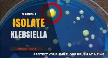 Do Hospitals Isolate Klebsiella? Understanding Infection Control Measures