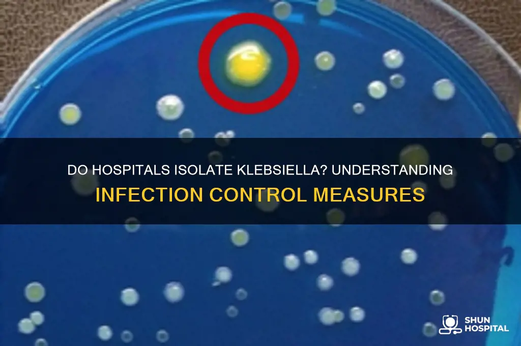 do hospitals isolate klebsiella