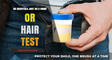 Urine vs. Hair Tests: Which Do Hospitals Typically Use?