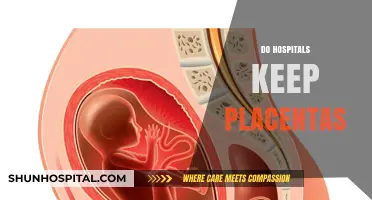 Do Hospitals Keep Placentas? Exploring Post-Birth Practices and Policies