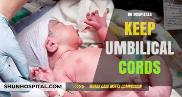 Do Hospitals Keep Umbilical Cords? Exploring Post-Birth Practices and Policies
