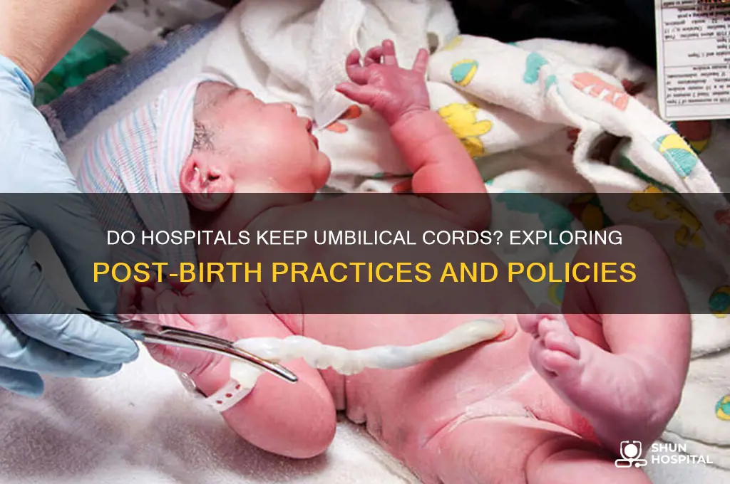 do hospitals keep umbilical cords