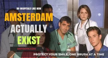 Exploring Real-Life New Amsterdam Hospitals