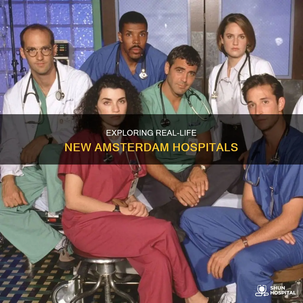 do hospitals like new amsterdam actually exkst