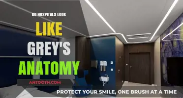 The Real-Life Drama of Hospital Life: Fact or Fiction?