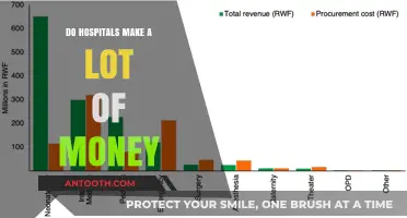 Hospitals: Money-Making Machines or Money-Draining Monsters?