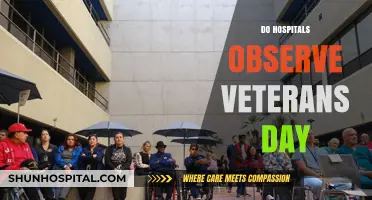 Honoring Veterans Day: How Hospitals Recognize and Support Our Heroes