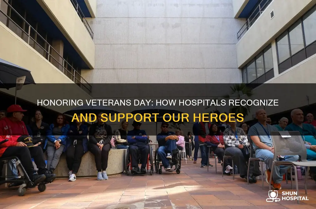 do hospitals observe veterans day
