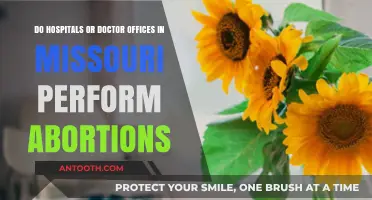 Missouri Abortion Services: Availability in Hospitals and Doctor Offices