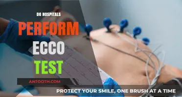 Do Hospitals Perform ECCO Tests? Understanding Echocardiograms in Healthcare